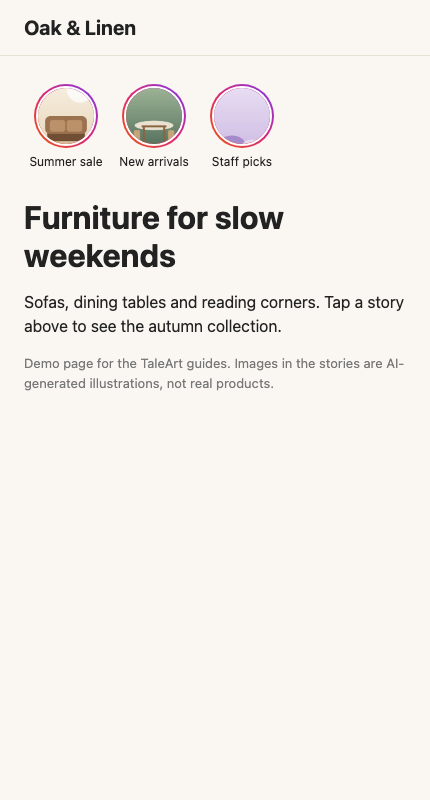 The example store page with the Stories bar
